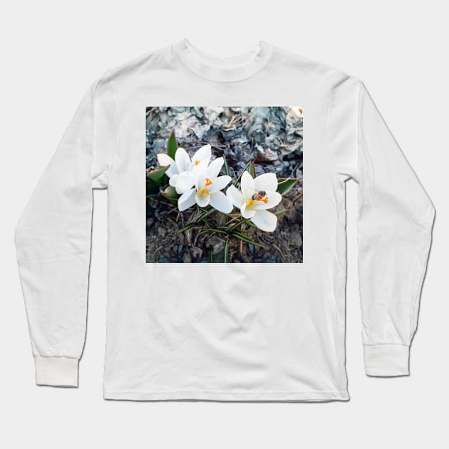 Spring Flowers Long Sleeve T-Shirt by Olex022